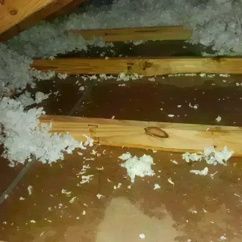 Attic Water Damage in Jeffersonville, IN